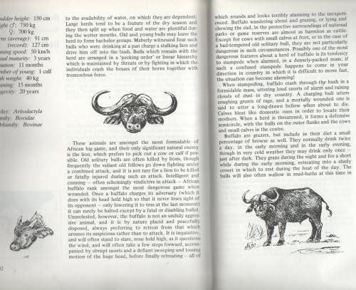 MABERLY'S MAMMALS OF SOUTHERN AFRICA - RICHARD GOSS (1990)