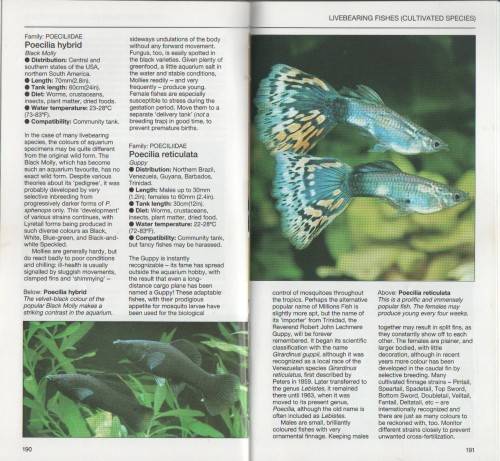 GUIDE TO TROPICAL AQUARIUM FISHES - DICK MILLS (1988)