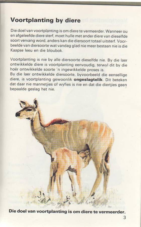 ONTDEK VOORTPLANTING - J J DE BEER (1 STE UITGAWE 1983)