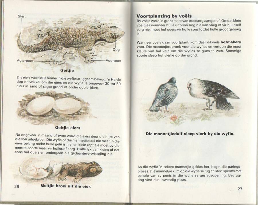 ONTDEK VOORTPLANTING - J J DE BEER (1 STE UITGAWE 1983)