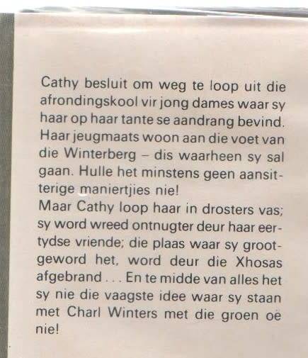 DIE ROOI ASSEGAAI - MARIE VAN DER MERWE (1981 - JEUGVERHAAL)