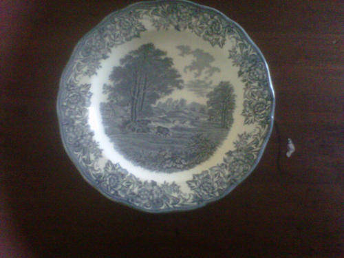 Beautiful Royal Staffordshire/Meakin "Romantic England" Dinner Plate