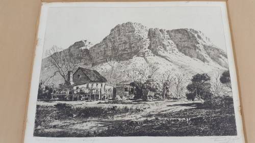 Original Tinus de Jongh Etching. Kirstenbosch, Cape Town.