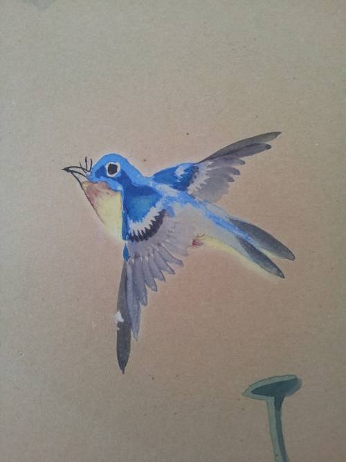 Toshio Aoki (1853-1912). Original Watercolour. Orchids and Hummingbird