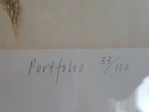 Irma Stern.Limited Edition Portfolio Print. Wine farm labourer with grapes. Excellent cond. , Framed