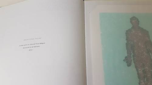 Stanislaw Trzebinski. Selected Sculpture 2013-1016. INCLUDES PRINT. Limited to 60. Hand numbered 56