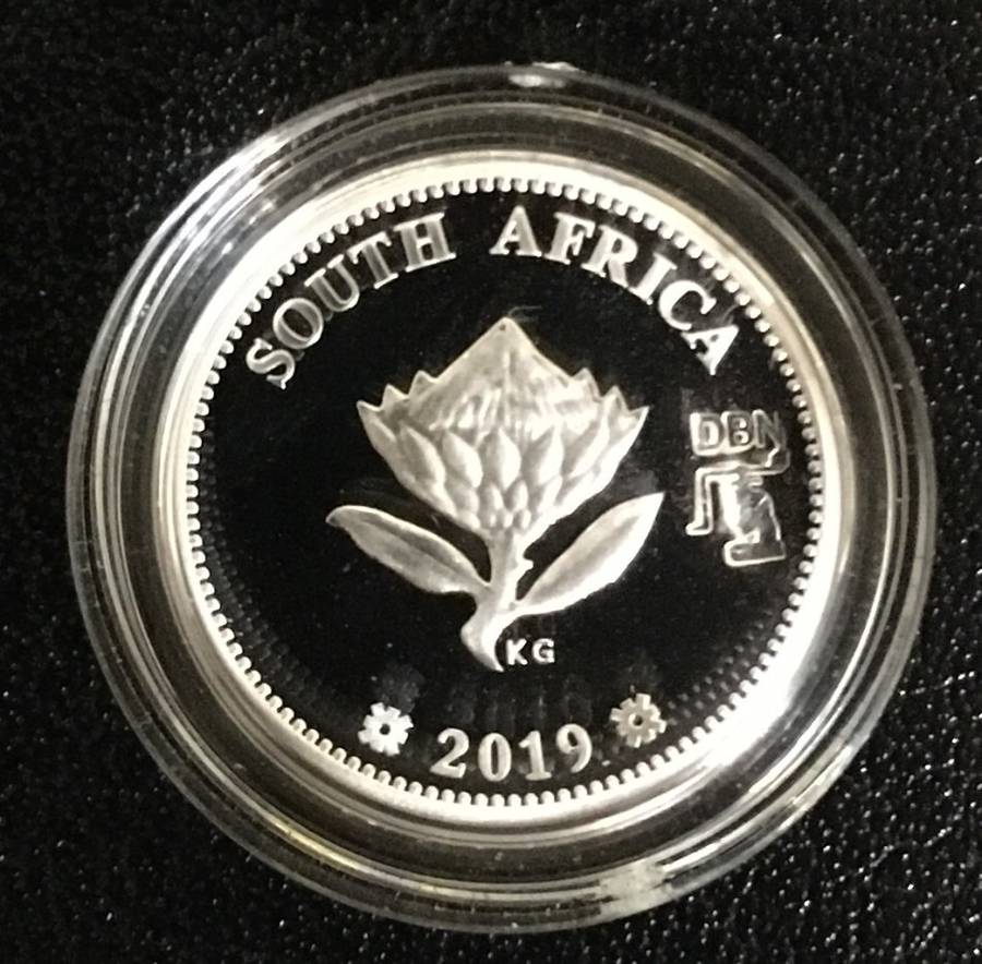 *DBN* FLYPRESS TICKEY - 2019 - *R1 AUCTION*