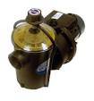 Quality Superflo 1.1kw pool pump