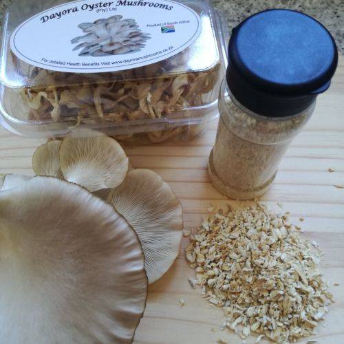 Hobby Oyster Mushrooms Training Kit