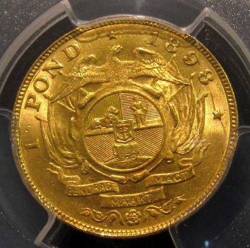 1898 Pond Unc Details Scratch - Brilliant otherwise - Start @ R1 !!!!