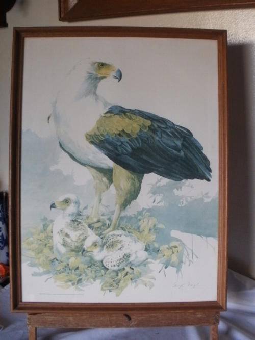 FISH EAGLE - SIGNED