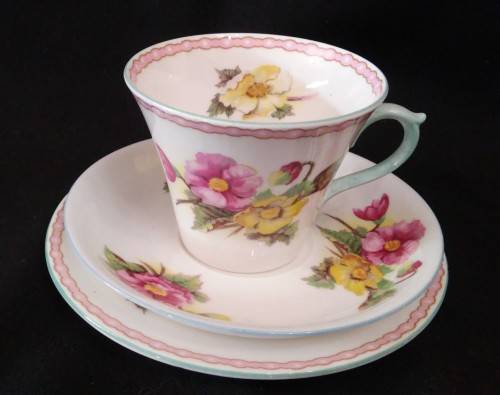 SHELLEY "BEGONIA" TRIO