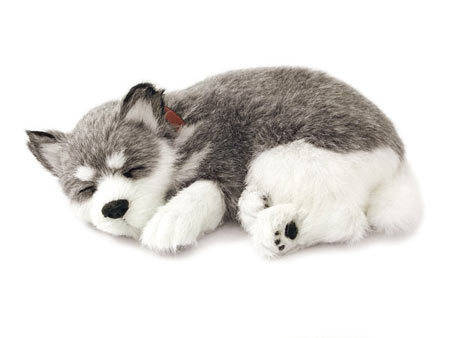 Sleeping Pup, Battery operated see him breathing while sleeping! R1 No Reserve