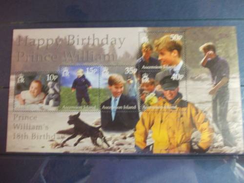 Ascension Island - Prince William 18th Birthday Mint Mini Sheet