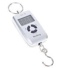 PORTABLE DIGITAL SCALE