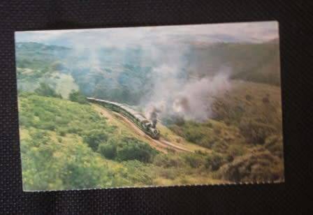 The Apple Express near Loerie, C.P ( S.A.R. Publicity and Travel Dept.)