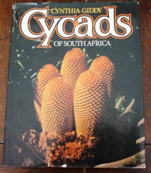 Cycads of South Africa - Cynthia Giddy