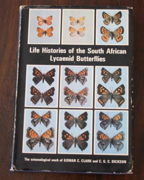 Life Histories of The South African Lycaenid Butterflies - Clark & Dickson