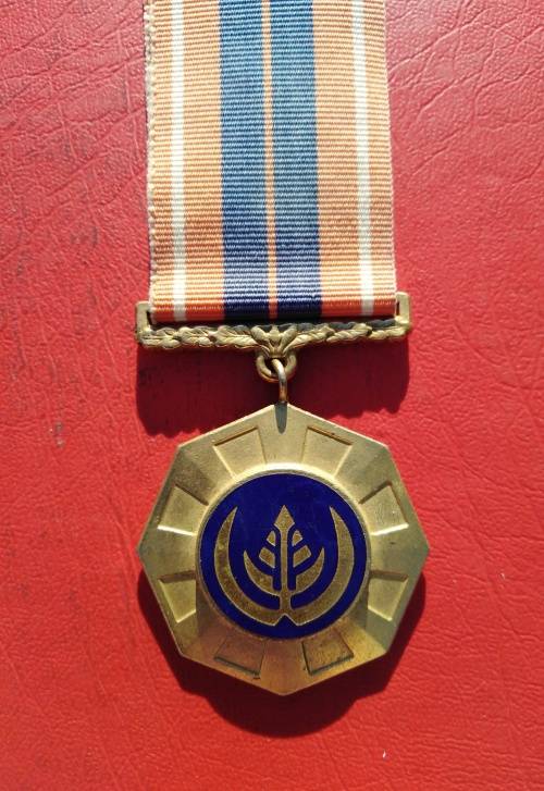 FULL SIZE PRO PATRIA MEDAL. BORDER WAR. LOW NUMBER: 34145.