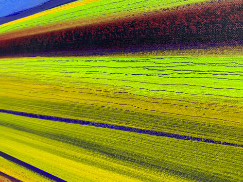 DERRIC VAN RENSBURG - Showstopper!