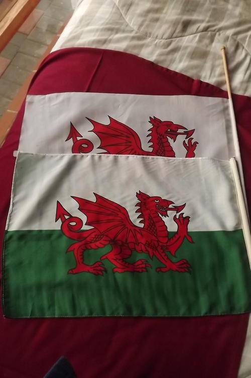 Wales Flags - 43cm x 30cm   2 x R25 each