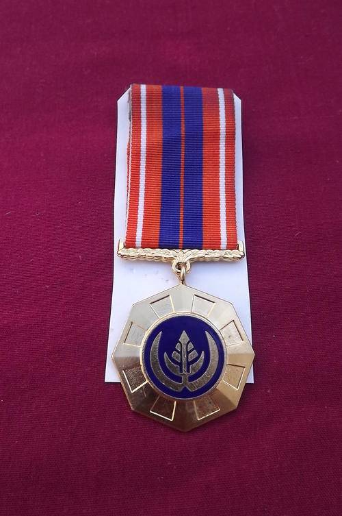 Pro Patria Swivel Medal no 16933 in good condition