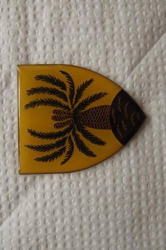 SADF 4 SA Infantry shoulder flash