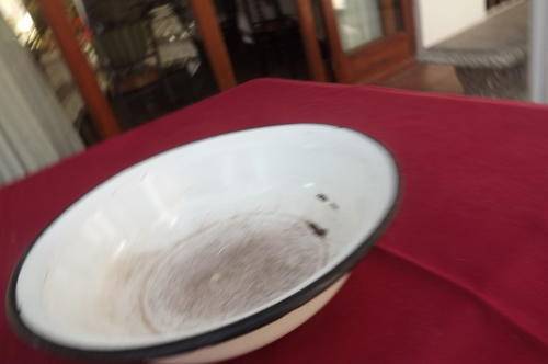 Antique White Enamel Bowl - see scans - 22.5cm diameter, 6.5cm depth