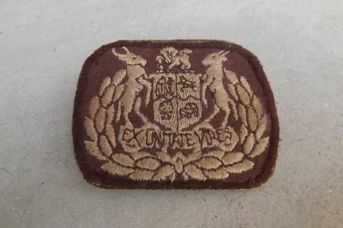 SADF Brown Background Ex Unitate Vires Cloth Badge as per scan