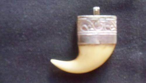 Lions Claw Pendant with Silver Rim