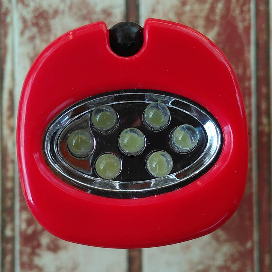 Portable LED work light, torch and lamp with hook and magnet