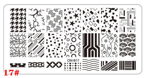 The Nail Art - OM-B17 Nail Stamping Plate