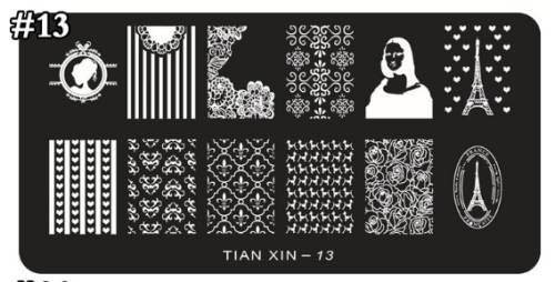 The Nail Art - Nail Stamping Plate Tianxin 13