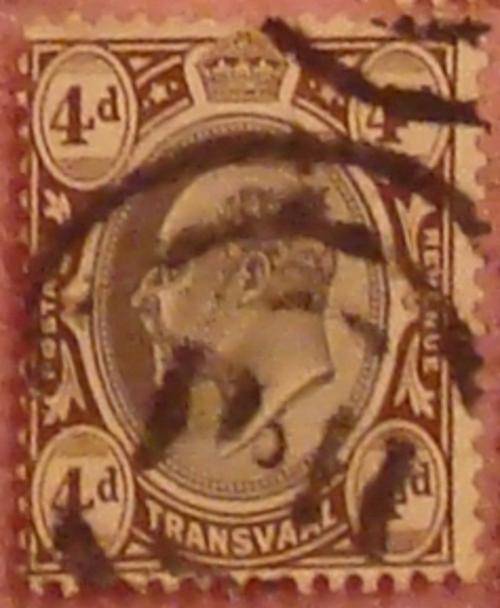 Transvaal 4 Penny Dark Brown 2