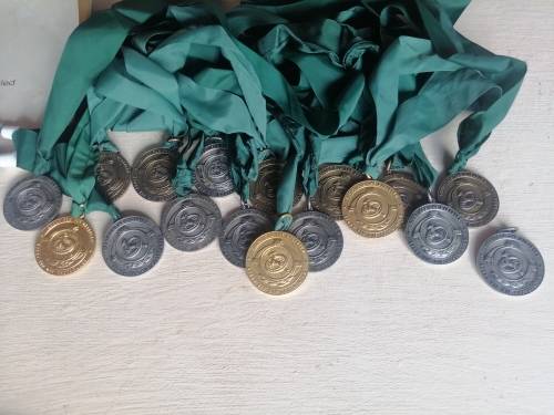 ### Sporting Tracksuit tops Ties and medals Springbok history memorabilia  ###