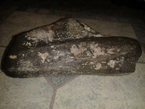 Black Bone Fossil