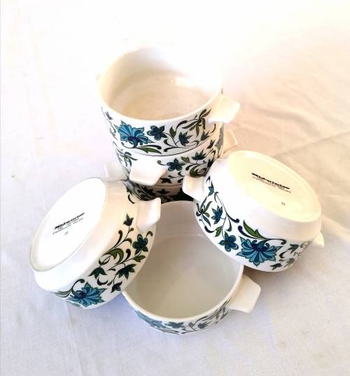 Midwinter Soup Cup/bowl in Spanish Garden Pattern