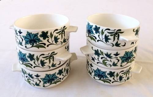 Midwinter Soup Cup/bowl in Spanish Garden Pattern