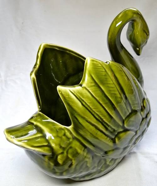 Lucia Ware Swan