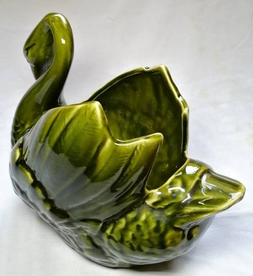 Lucia Ware Swan