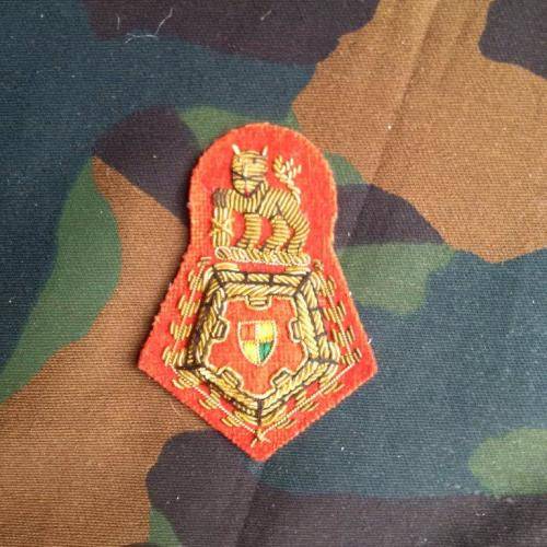 SADF senior staff qualified Col beret badge - pre-1994