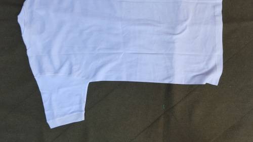 original white medium size Rhodesian Service Corps tee-shirt in very good & clean condition