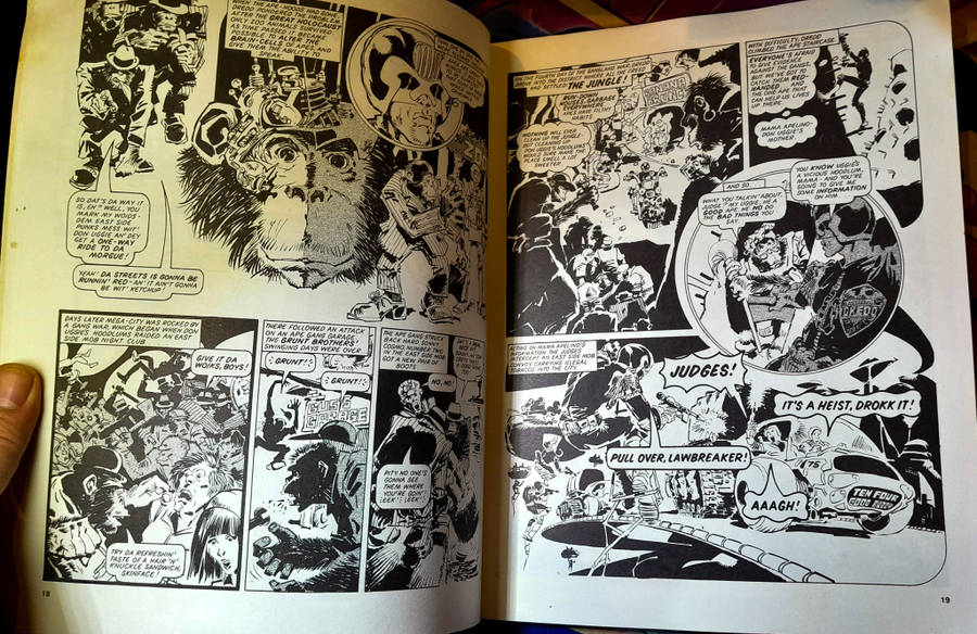 Judge Dredd 2 - The Chronicals or Judge Dredd - John Wagner and Mike McMahon