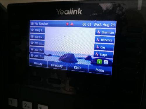*COMPANY LIQUIDATION*SET OF YEALINK IP CORDLESS PHONES+YEALINK CONFERENCE PHONE*OVER R7000 VALUE**