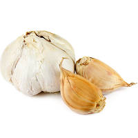 Garlic Collection - 10 Exotic Varieties