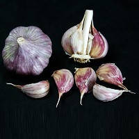 Garlic Collection - 10 Exotic Varieties