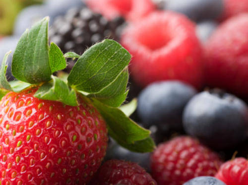 Berries and Cherries! 12 Edible Fruit Variety Seeds