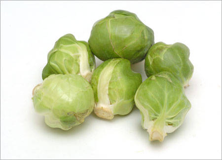 Brussel Sprouts - Evesham - Brassica Oleracea Gemmifera - 100 Seeds - Unequalled Taste - Vegetable