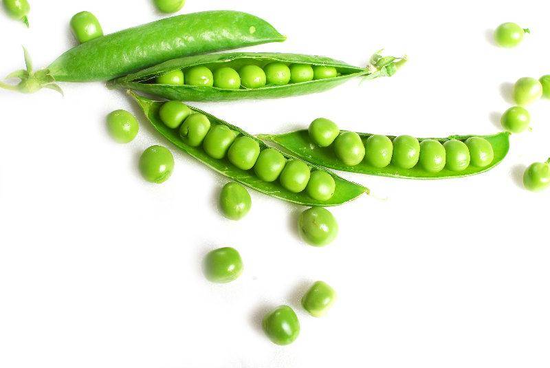 Petit Pois - Waverex - Pisum Sativum - Tender Sweet Small & Juicy Peas - Vegetable - 20 Seeds