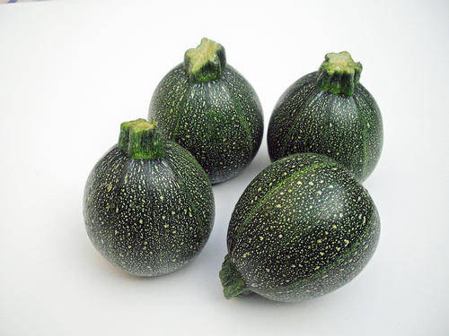 Round Zucchini - Cucurbita Pepo - Unique Vegetable - 5 Seeds